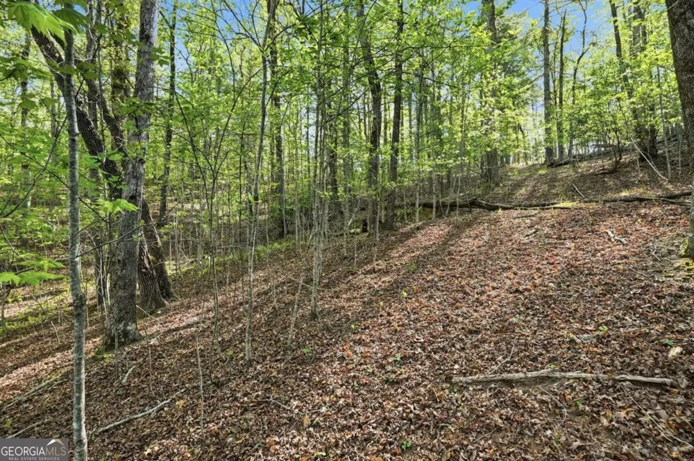 0 Mill Trace CT Cleveland, GA 30528
