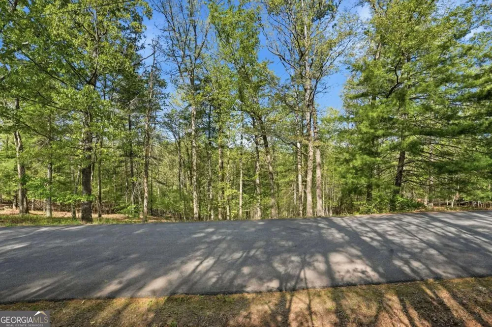 0 Mill Trace CT Cleveland, GA 30528