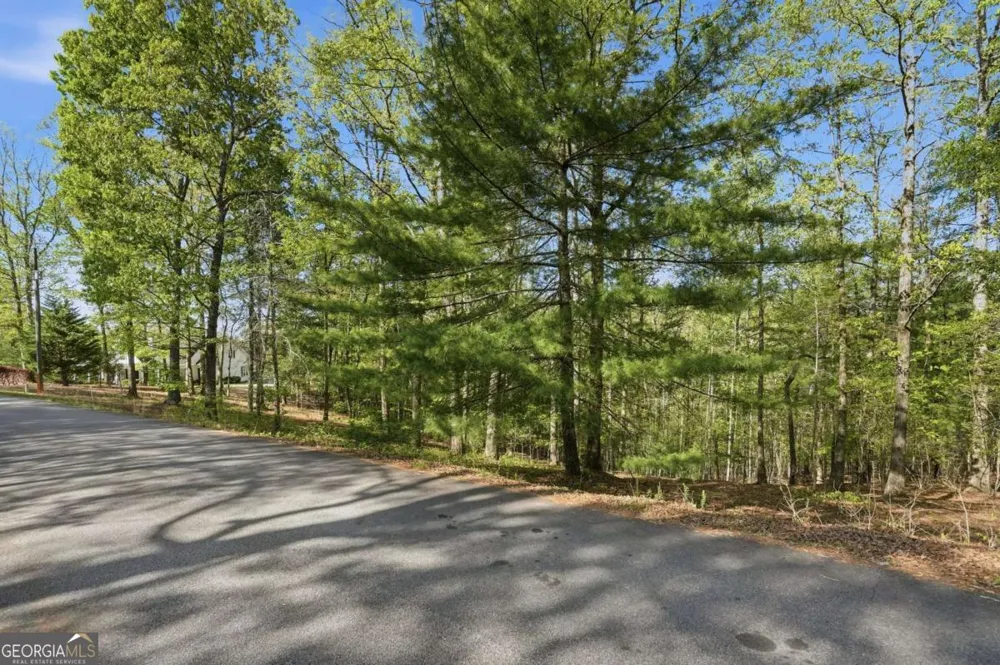 0 Mill Trace CT Cleveland, GA 30528