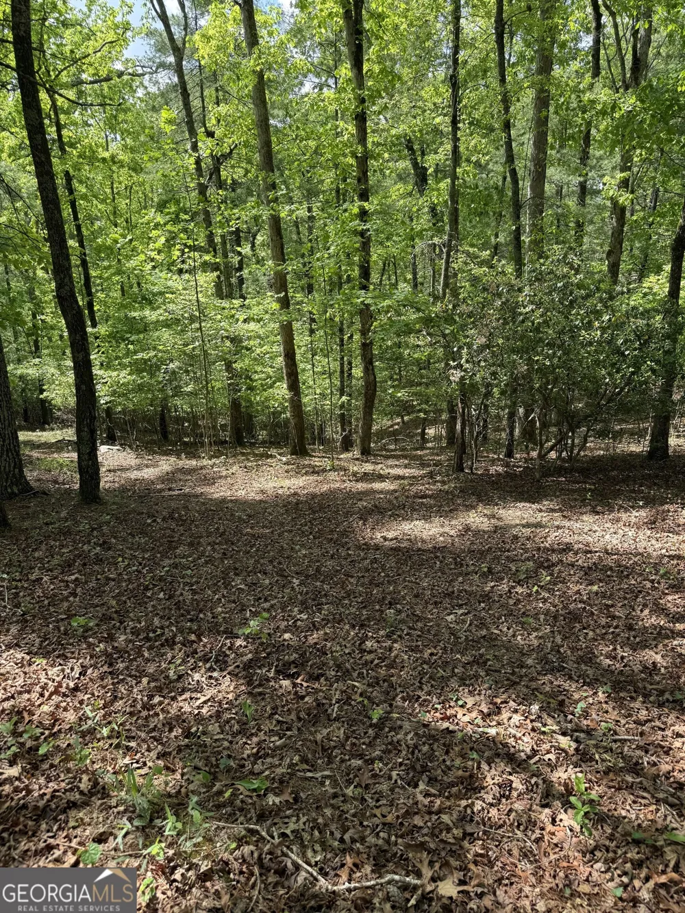 0 Mill Trace CT Cleveland, GA 30528