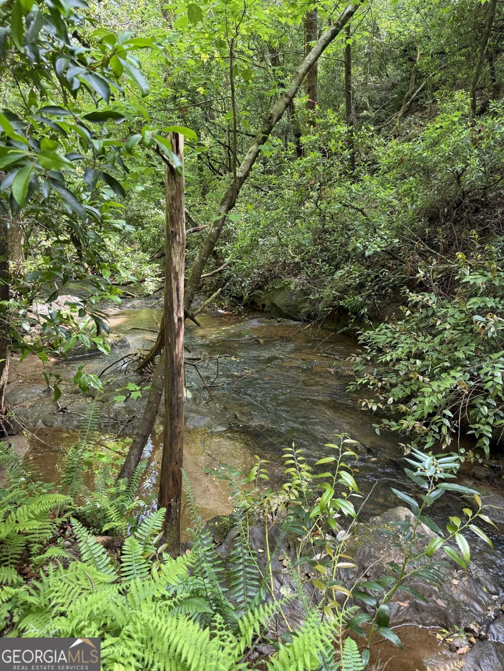 0 Mill Trace CT Cleveland, GA 30528