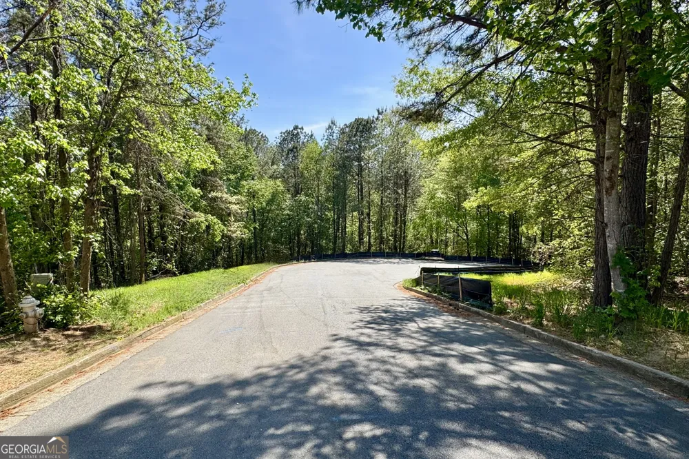 139 Constitution PTE Dallas, GA 30132