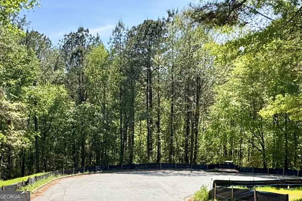 145 Constitution PTE Dallas, GA 30132