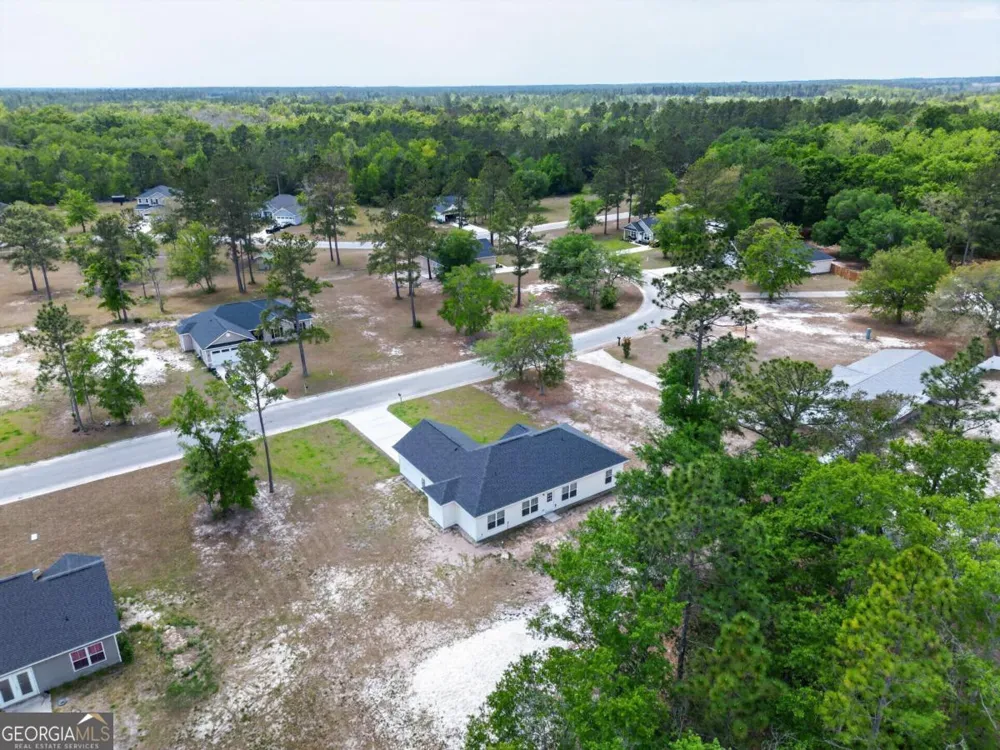 73 Taylor Creek Spur NE Ludowici, GA 31316
