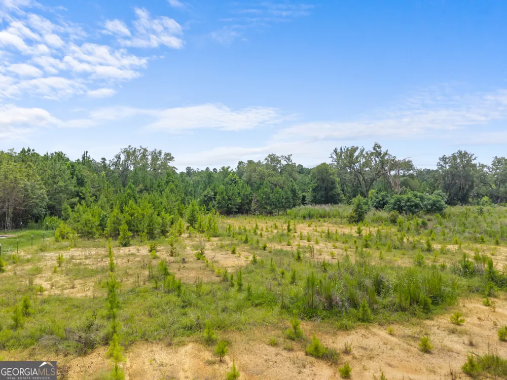 0 Martin RD Pembroke, GA 31321