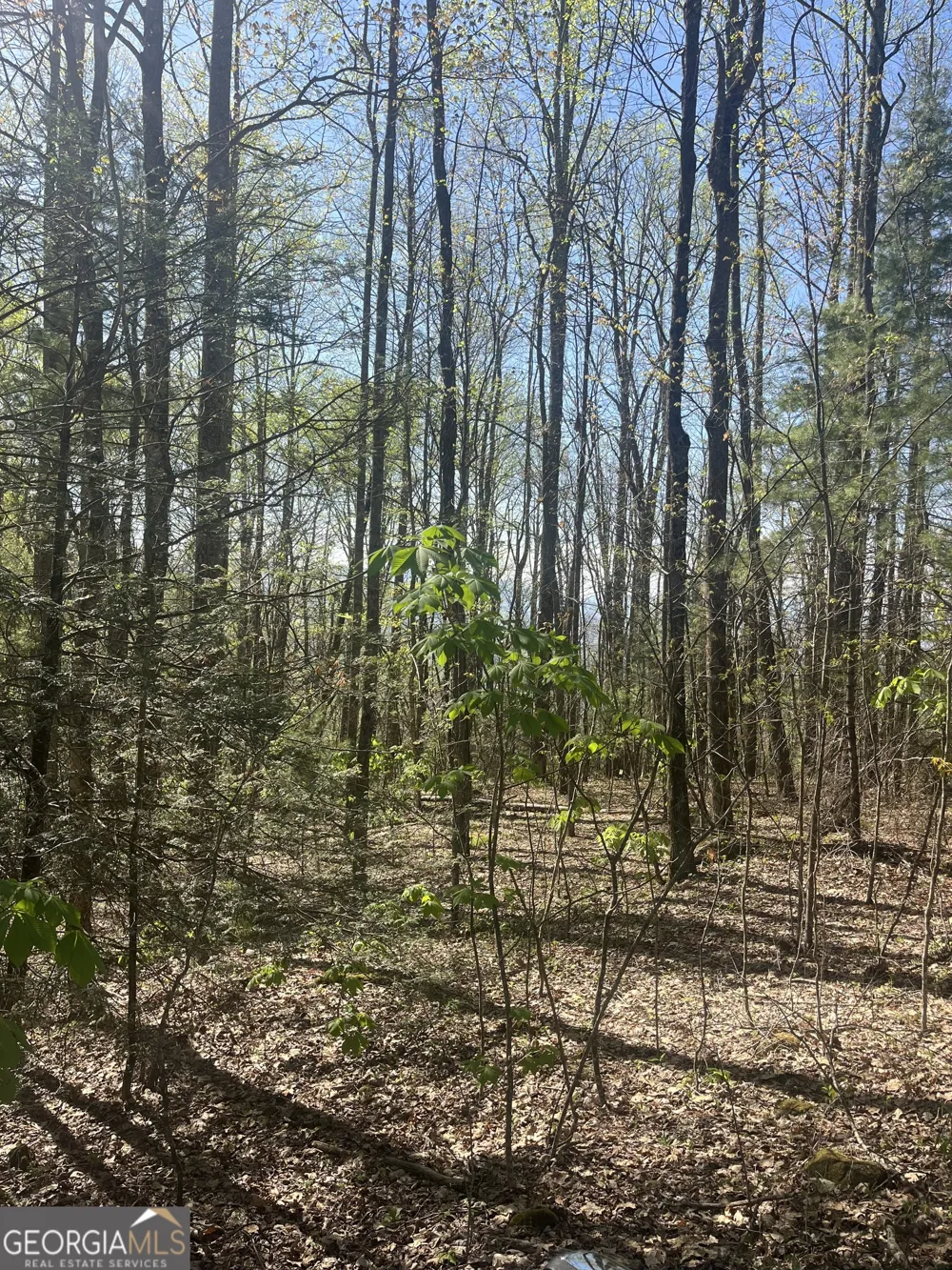0 Happy Hill Scaly Mtn, NC 28775