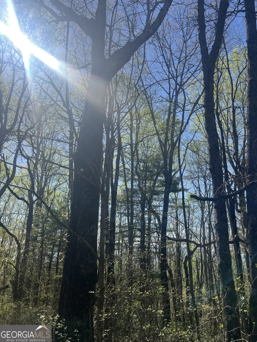 0 Happy Hill Scaly Mtn, NC 28775