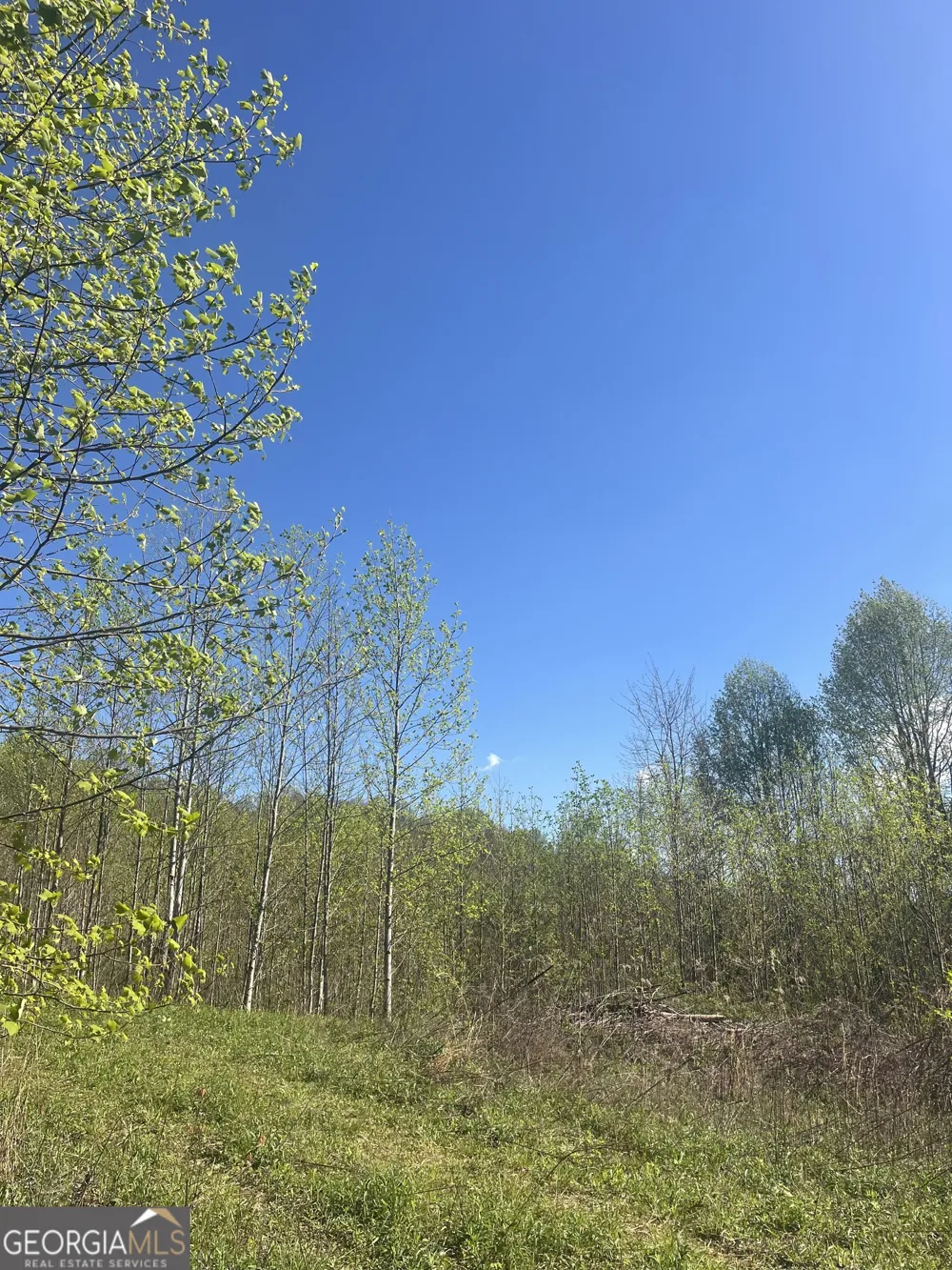 0 Happy Hill Scaly Mtn, NC 28775