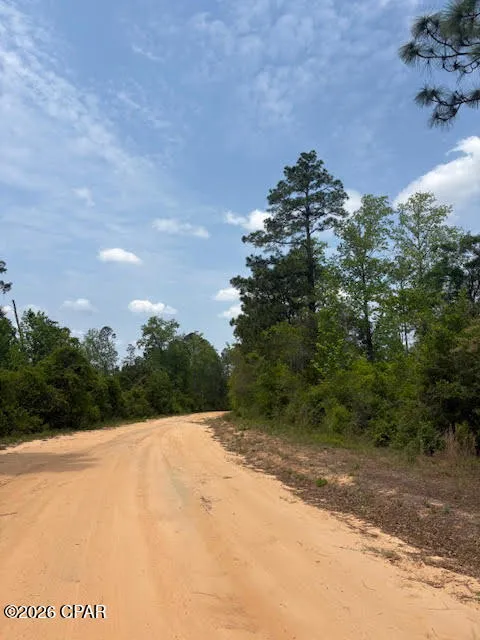Southern Boulevard #L4 B203 Alford, FL 32420