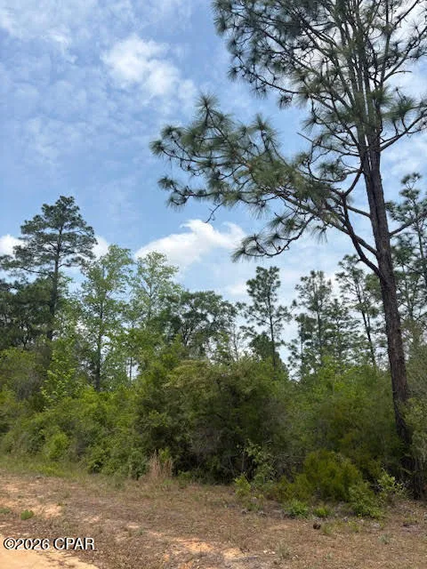 Southern Boulevard #L4 B203 Alford, FL 32420