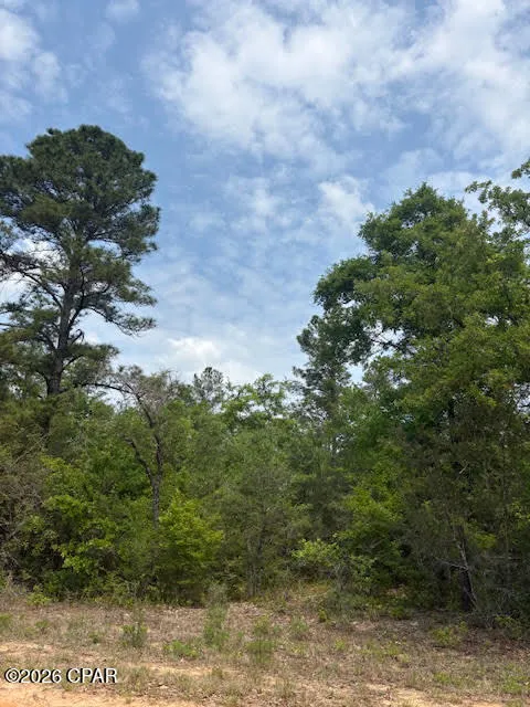 Southern Boulevard #L4 B203 Alford, FL 32420