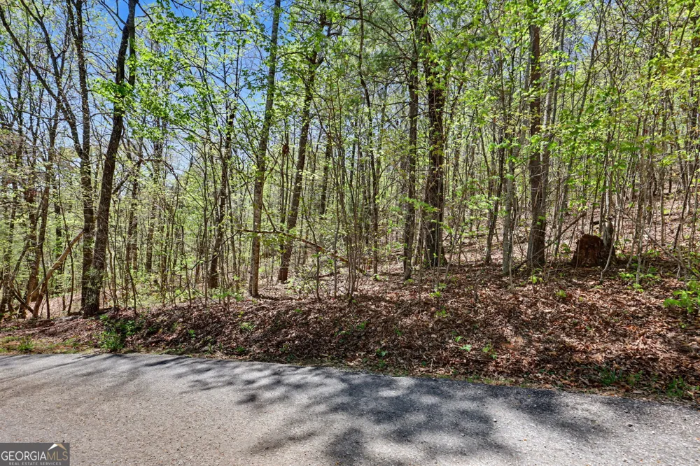 0 Roundtop DR Clayton, GA 30525