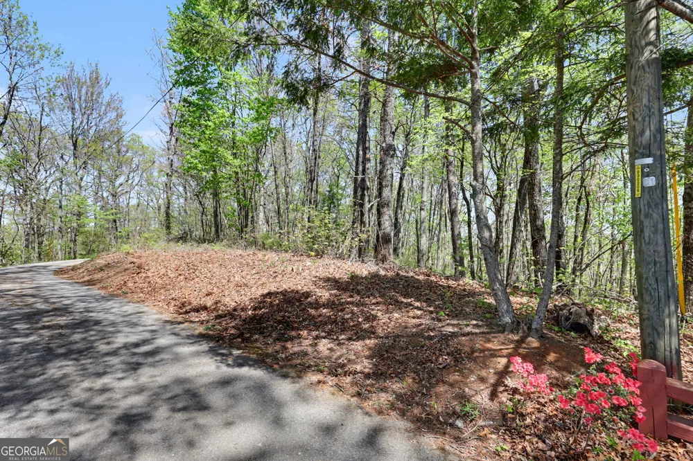 0 Roundtop DR Clayton, GA 30525