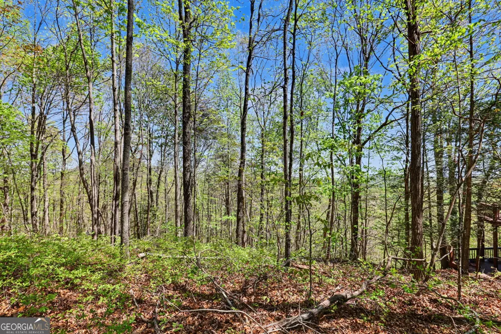 0 Roundtop DR Clayton, GA 30525