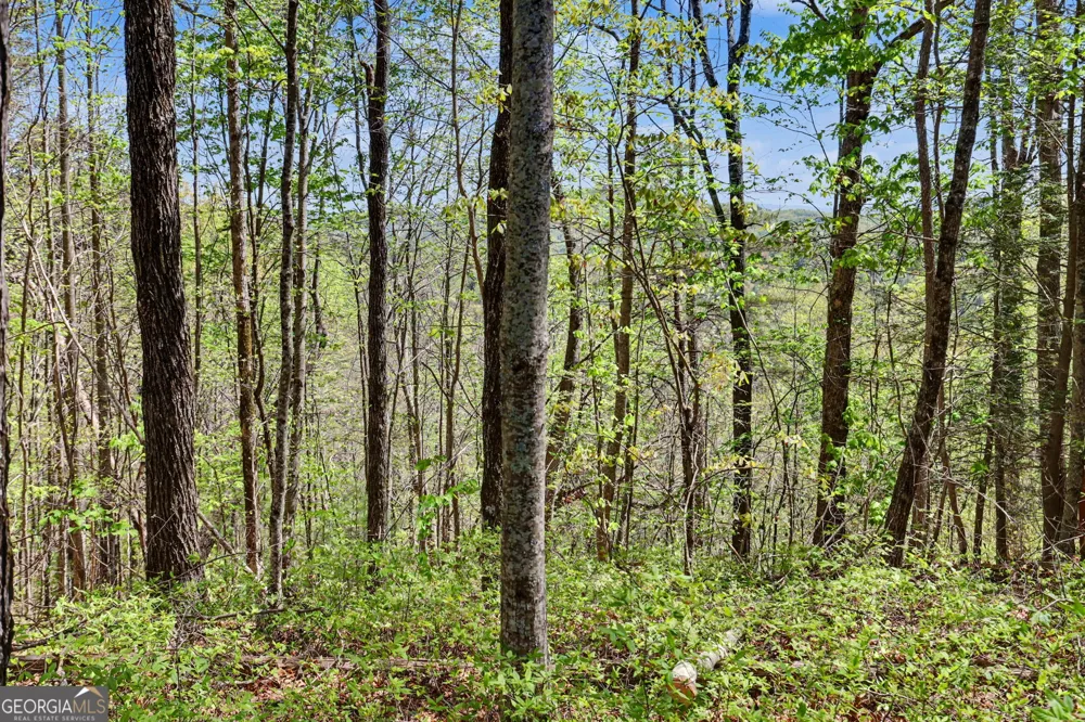 0 Roundtop DR Clayton, GA 30525