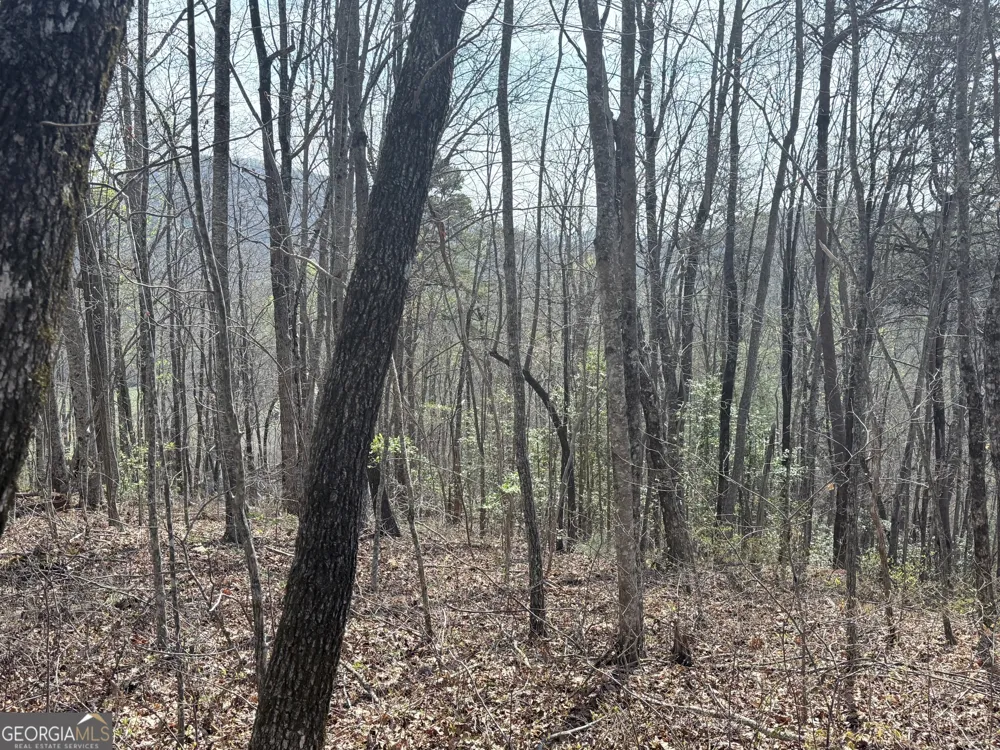 0 Roundtop DR Clayton, GA 30525