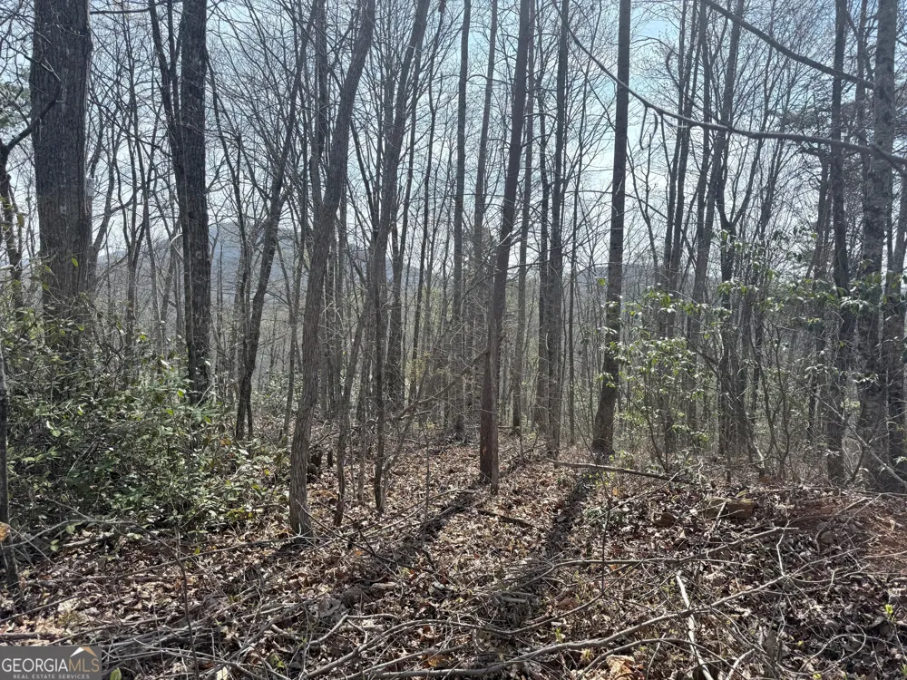 0 Roundtop DR Clayton, GA 30525