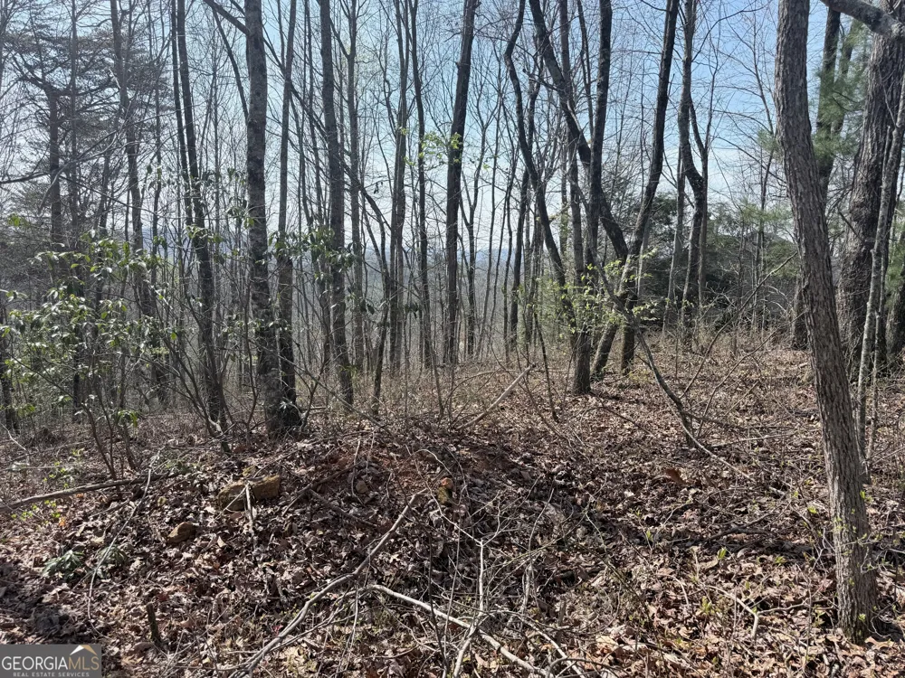 0 Roundtop DR Clayton, GA 30525