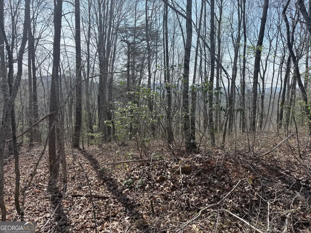 0 Roundtop DR Clayton, GA 30525