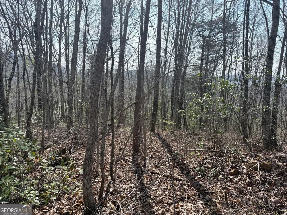 0 Roundtop DR Clayton, GA 30525