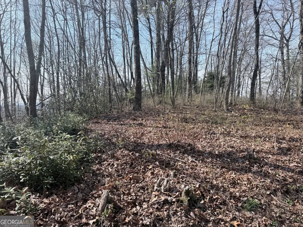 0 Roundtop DR Clayton, GA 30525