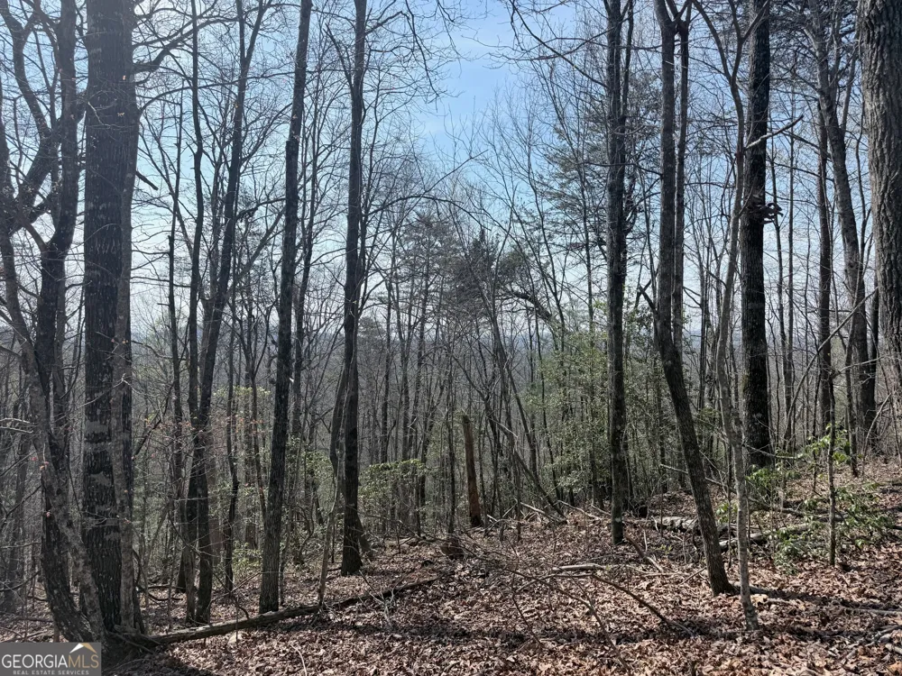 0 Roundtop DR Clayton, GA 30525