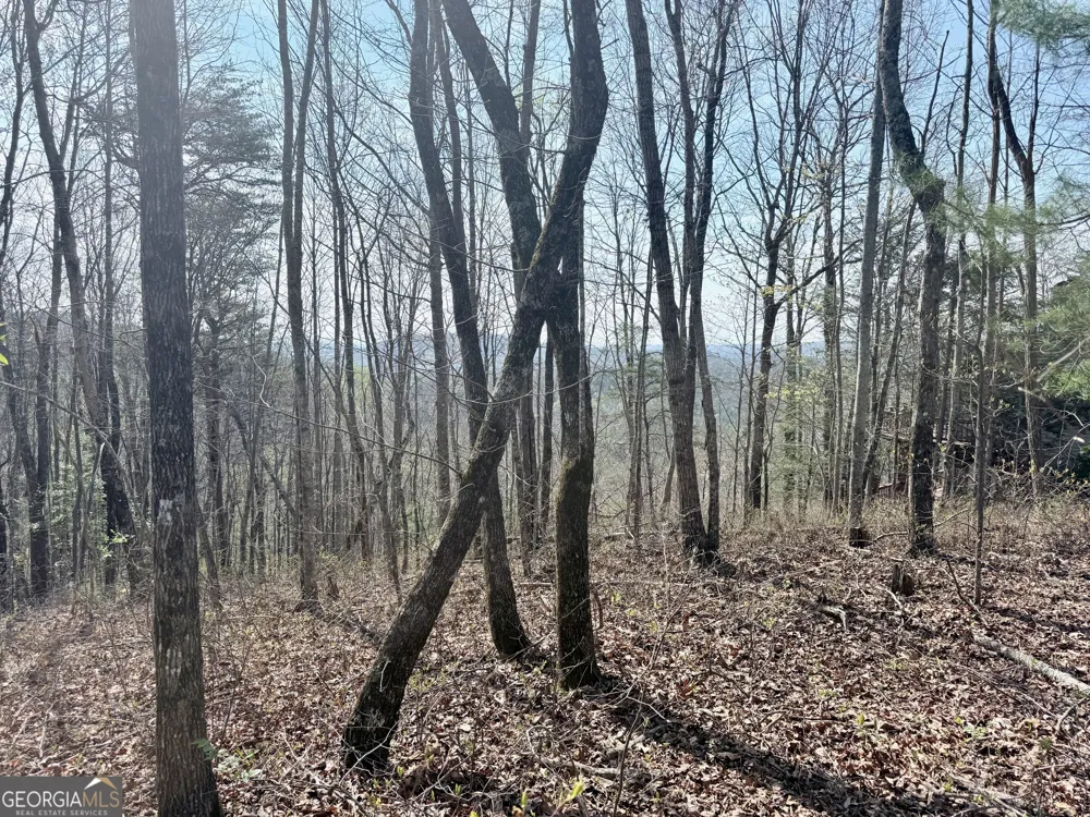 0 Roundtop DR Clayton, GA 30525