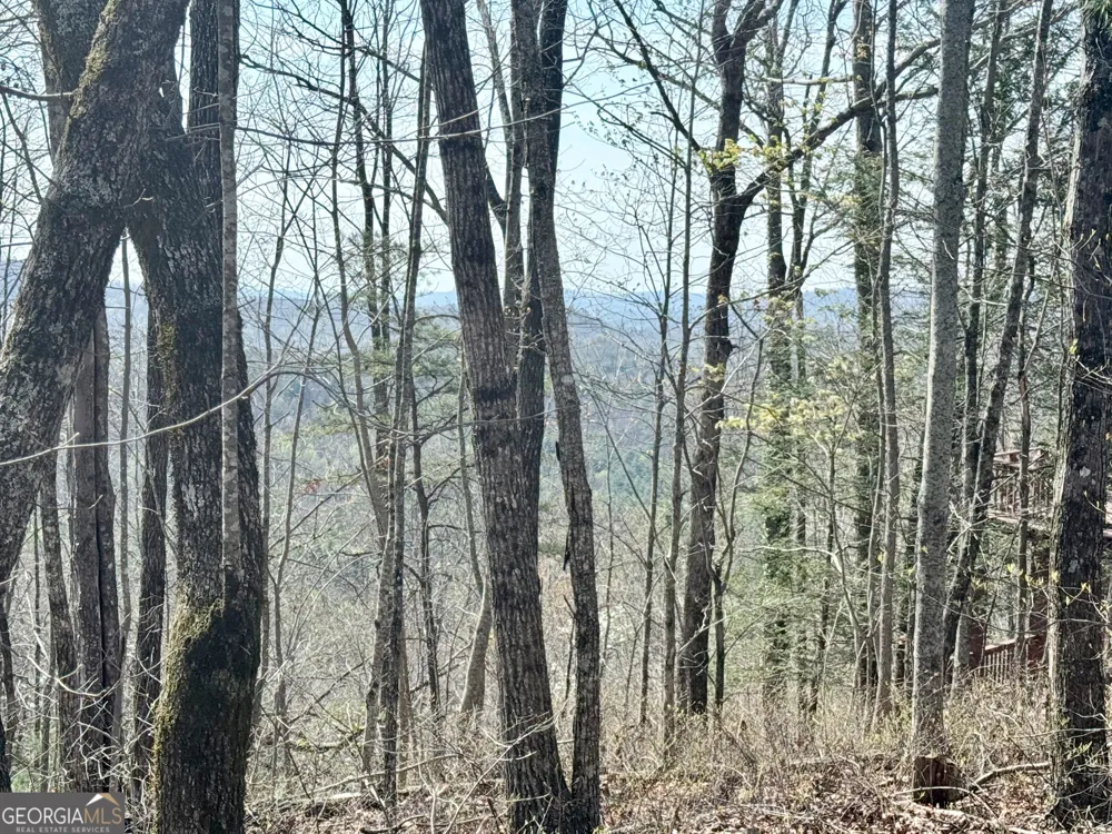 0 Roundtop DR Clayton, GA 30525