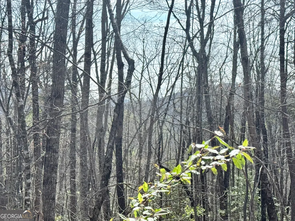 0 Roundtop DR Clayton, GA 30525