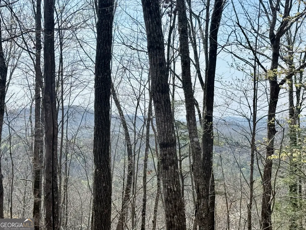 0 Roundtop DR Clayton, GA 30525