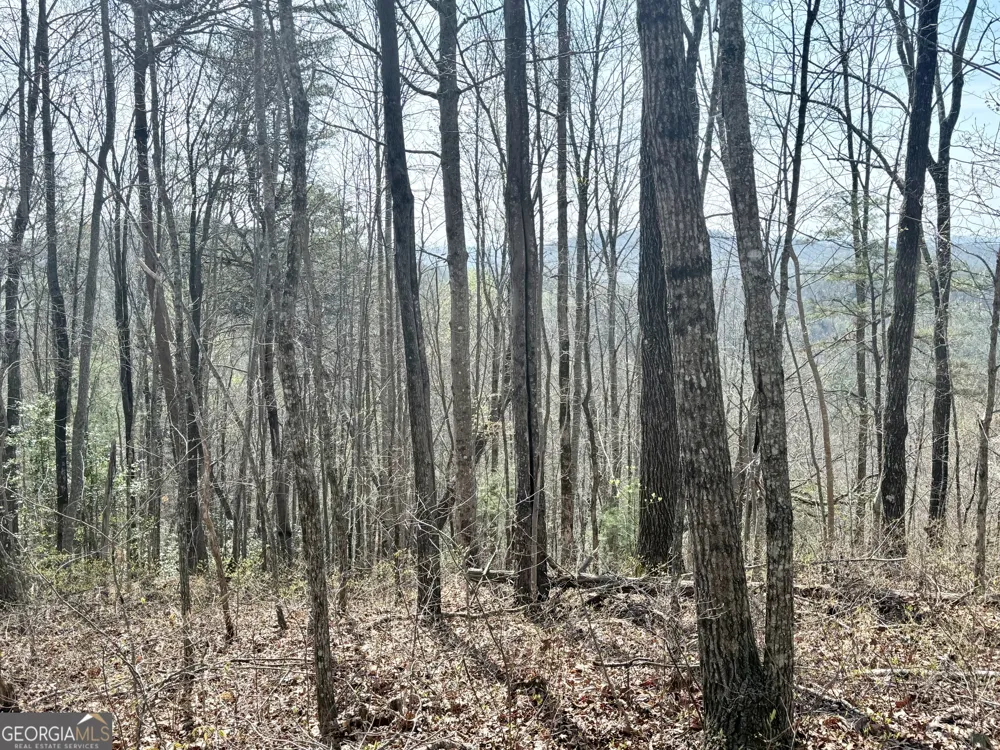0 Roundtop DR Clayton, GA 30525