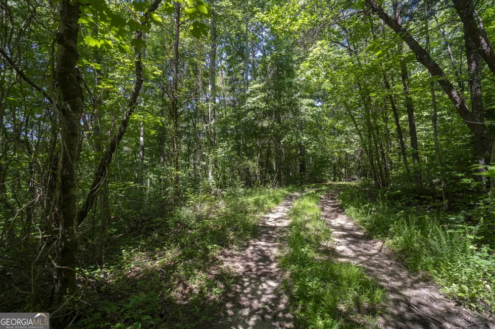 0 Hurricane Ridge RD Sautee Nacoochee, GA 30571