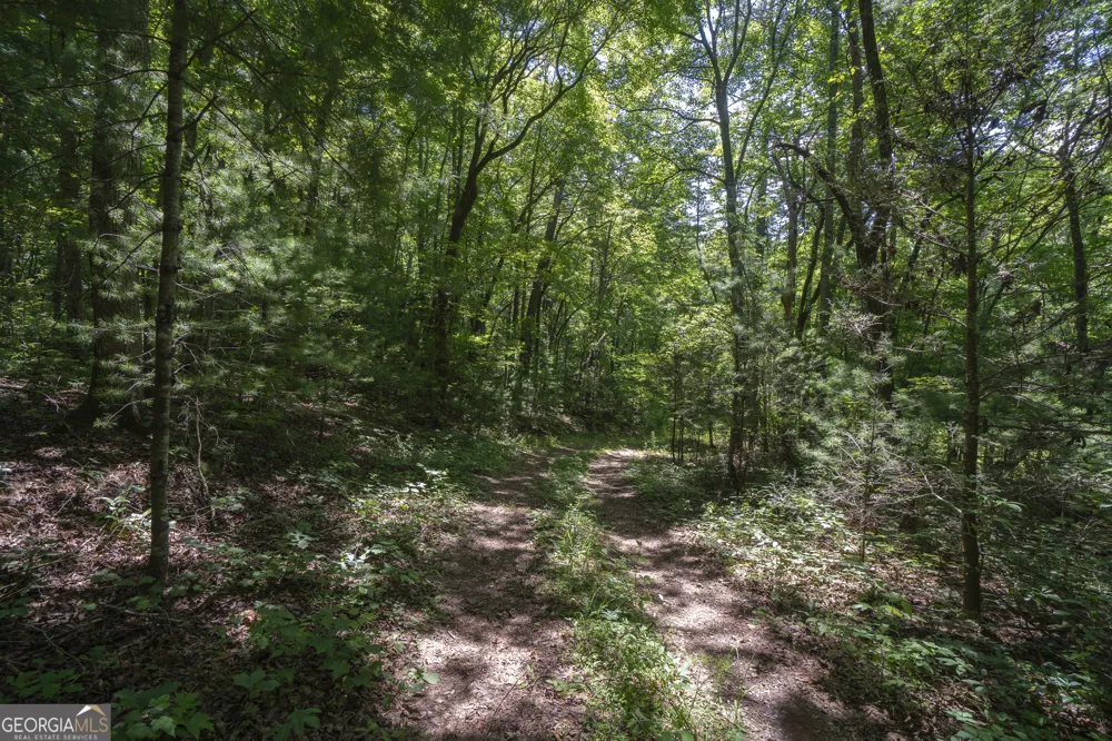 0 Hurricane Ridge RD Sautee Nacoochee, GA 30571