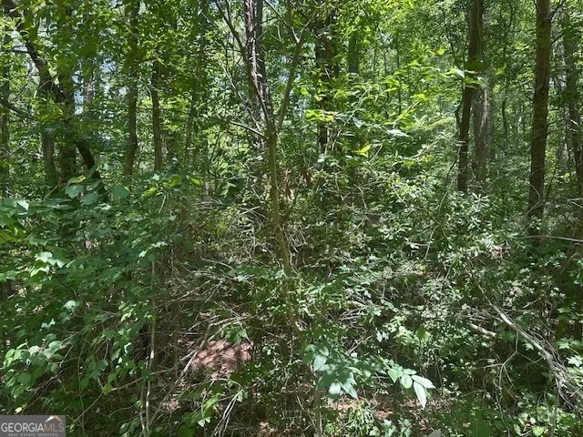 57 Dogwood TRL Martin, GA 30557
