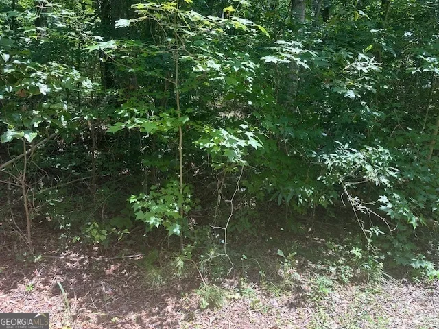 57 Dogwood TRL Martin, GA 30557