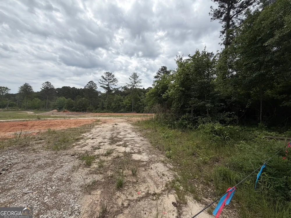 1330 STEELE RD Griffin, GA 30223