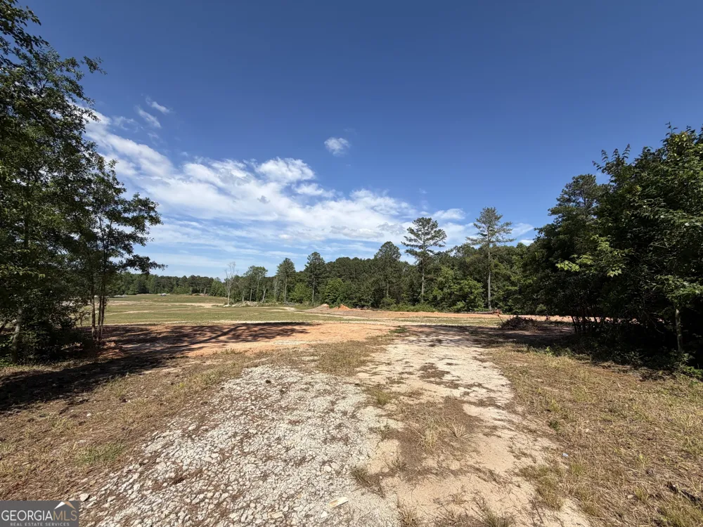 1330 STEELE RD Griffin, GA 30223