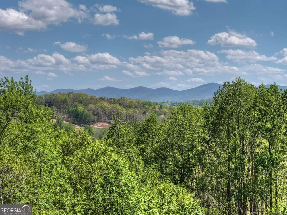 315 Blue Berry RDG Morganton, GA 30560