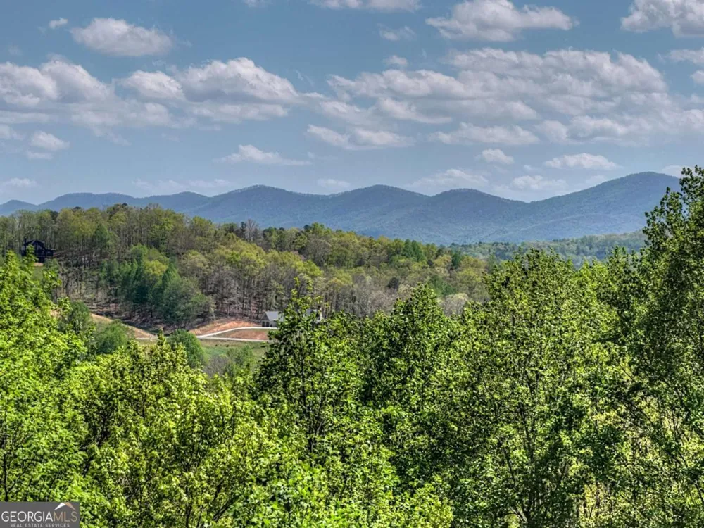 315 Blue Berry RDG Morganton, GA 30560