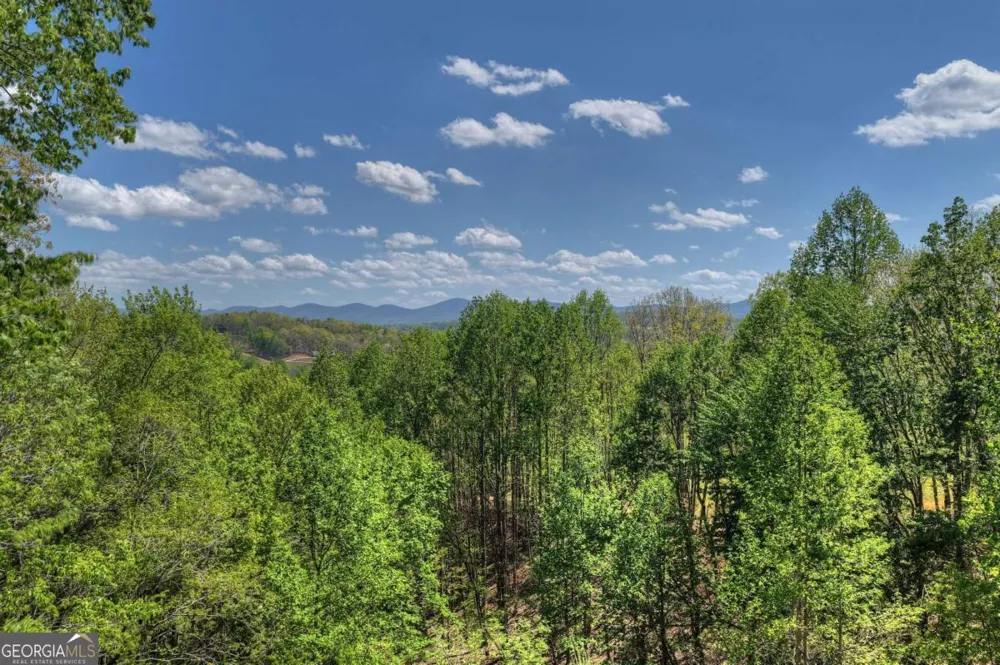 315 Blue Berry RDG Morganton, GA 30560
