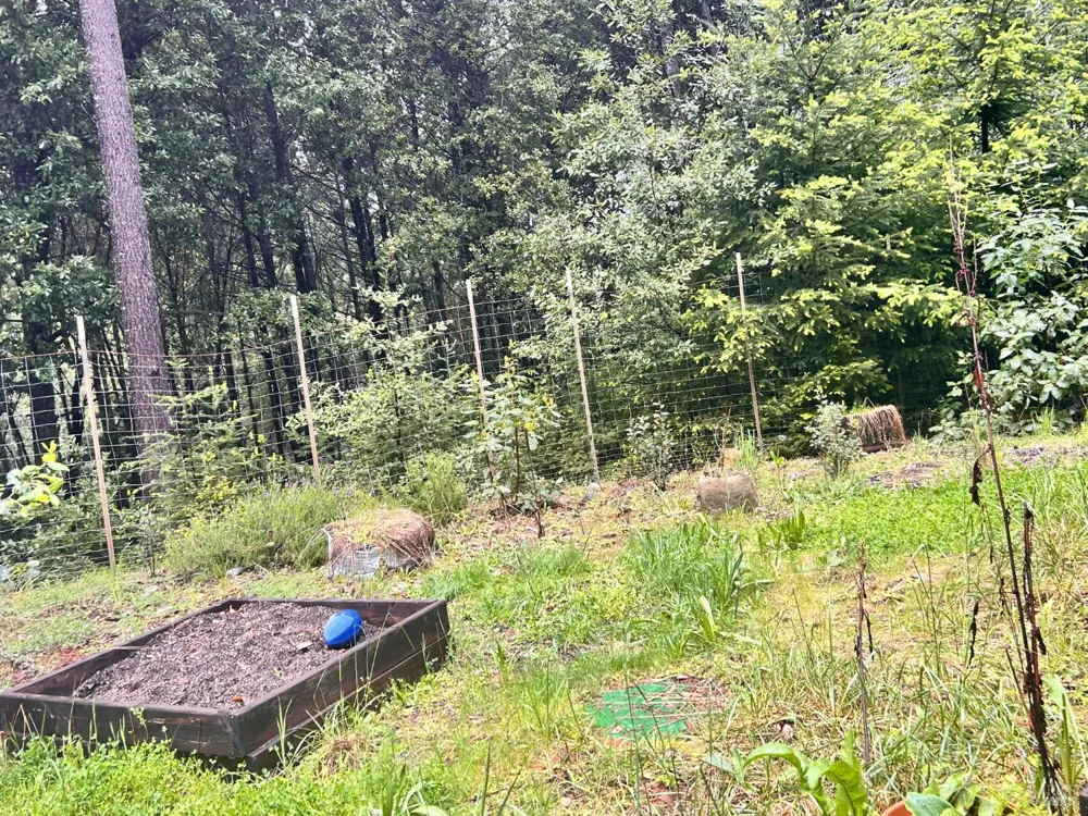 29281 Timberline Road Willits, CA 95490