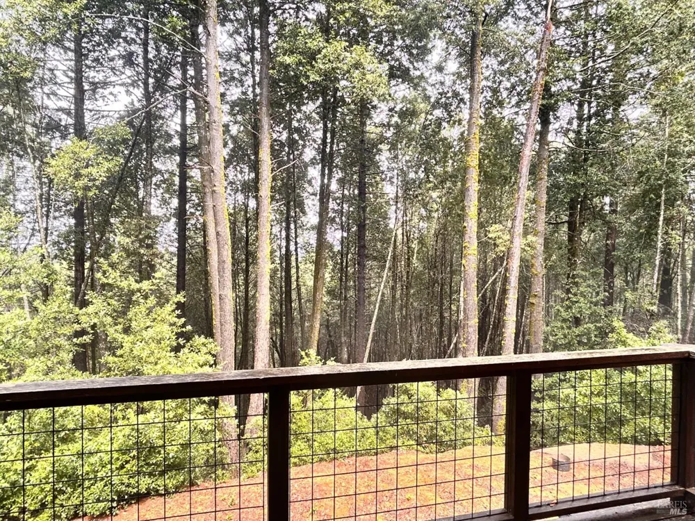 29281 Timberline Road Willits, CA 95490