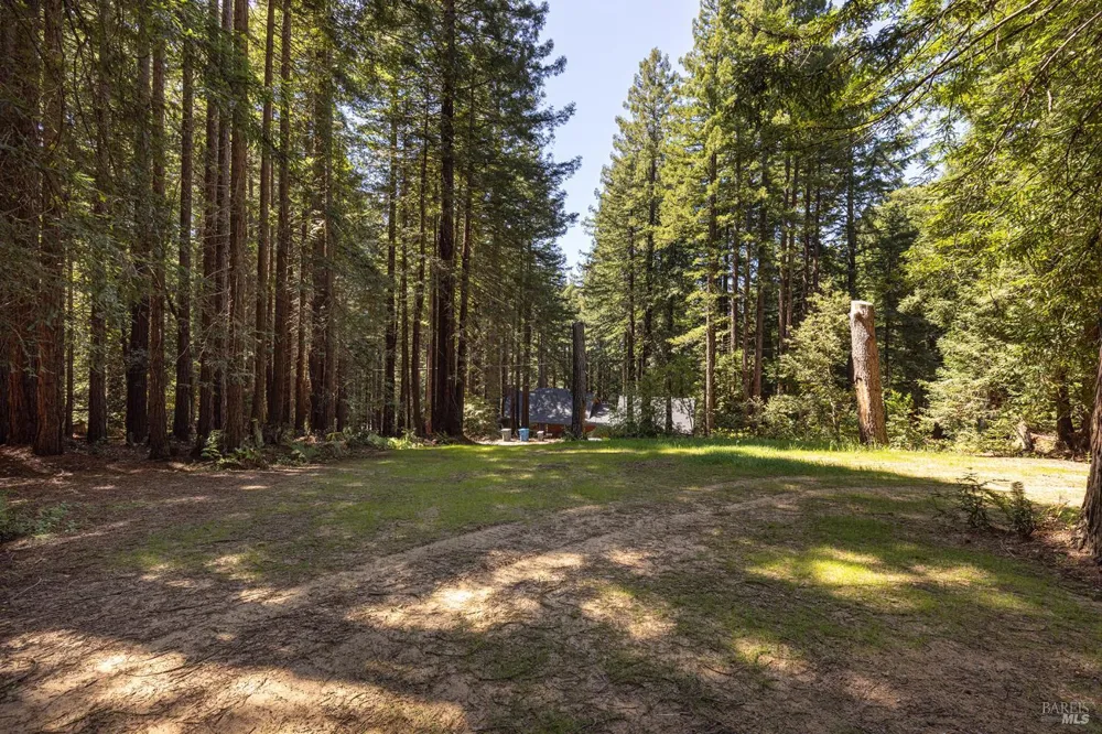 2264 Joy Ridge Road Occidental, CA 95465