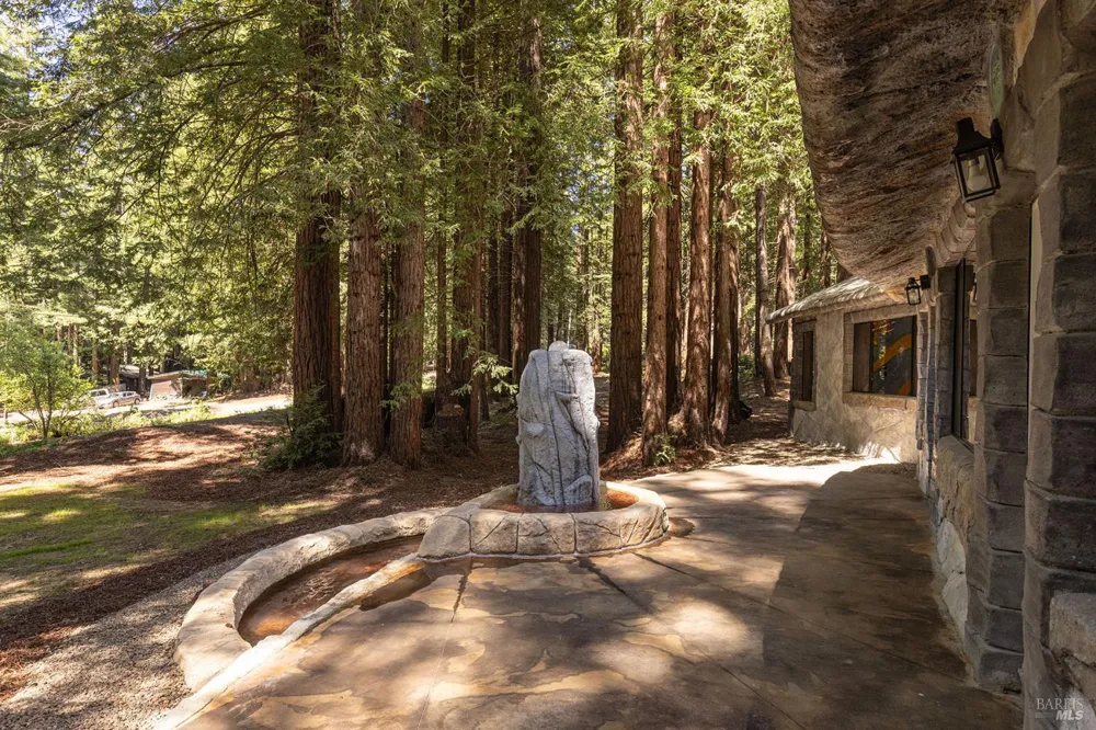 2264 Joy Ridge Road Occidental, CA 95465