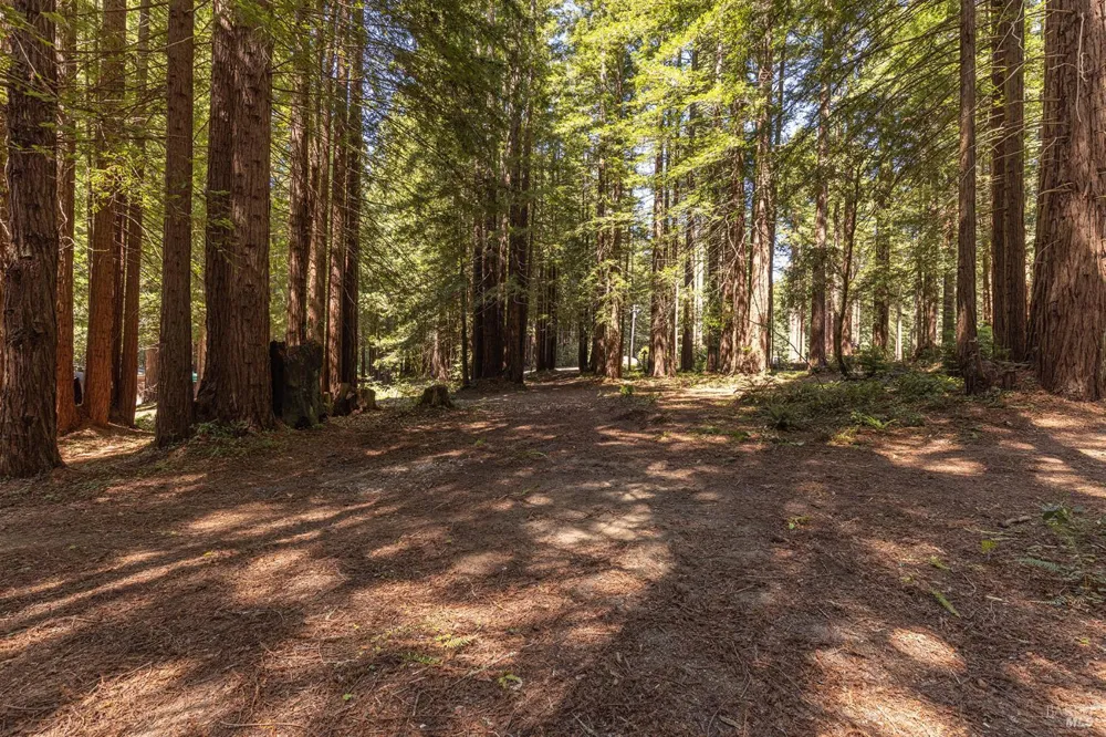 2264 Joy Ridge Road Occidental, CA 95465