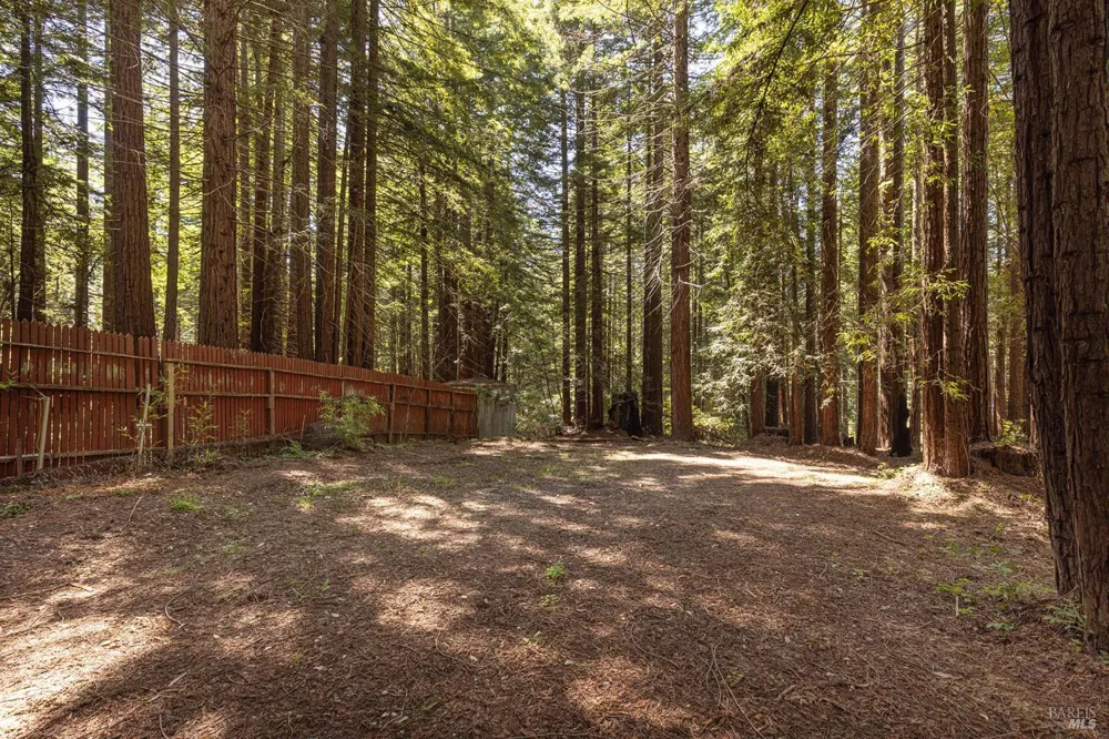 2264 Joy Ridge Road Occidental, CA 95465