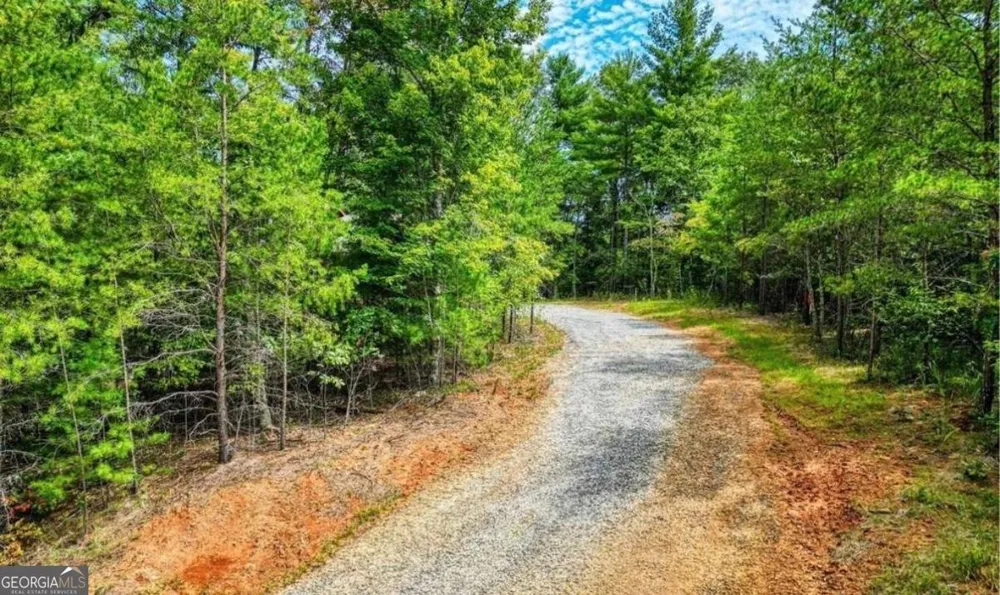 199 Lola Mae WAY Morganton, GA 30560