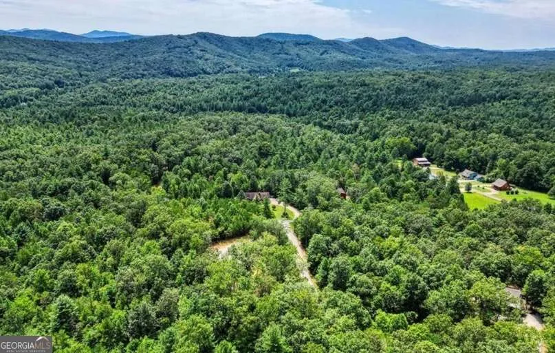 199 Lola Mae WAY Morganton, GA 30560