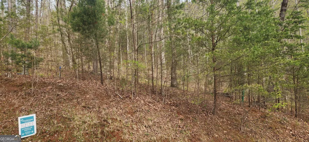 0 (LOT 13) Yellow Trillium Clayton, GA 30525