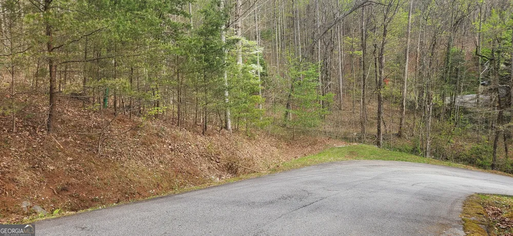 0 (LOT 13) Yellow Trillium Clayton, GA 30525